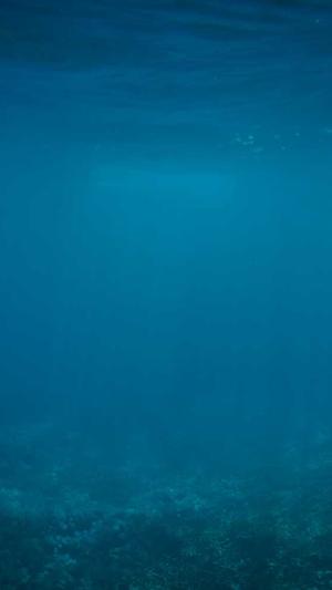 网站怎么放蜘蛛池视频截图1