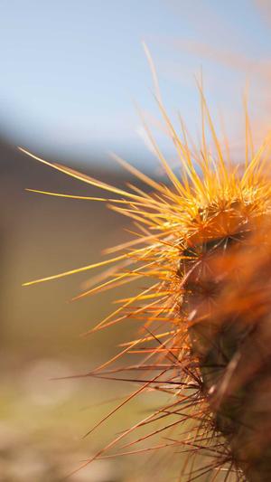 重庆网站seo好不好截图4