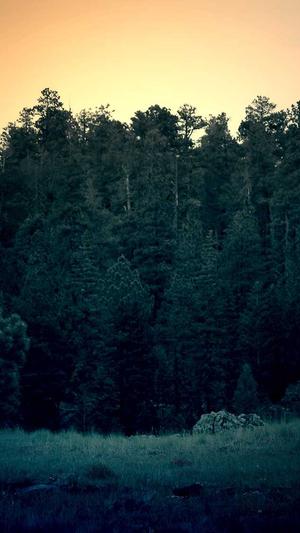 蜘蛛池靠谱吗截图2