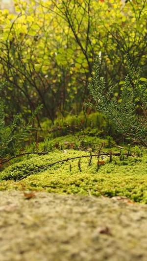 网站建设网站推广截图2