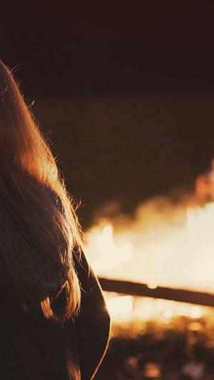 seo优化技巧截图4