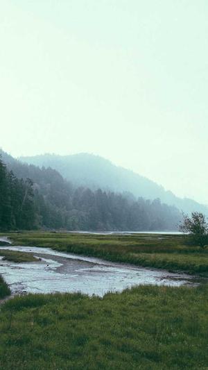 蜘蛛池软件排名截图4