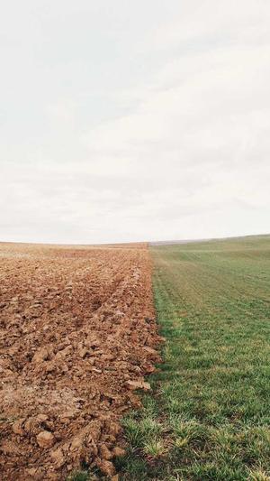 重庆seo网站设计截图3