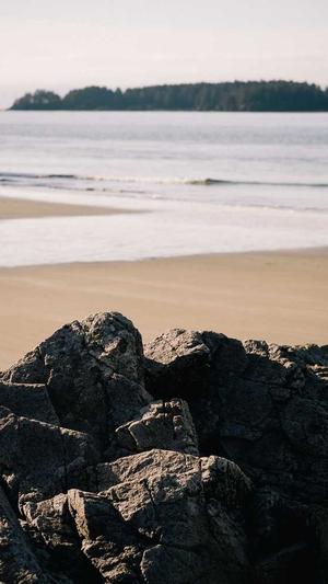 重庆seo整站优化系统截图4