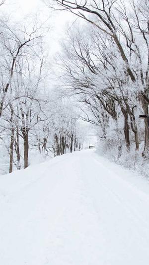 网站建设文章截图3