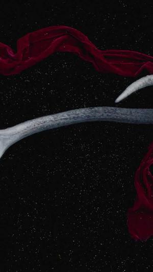 网站建设计划书截图1