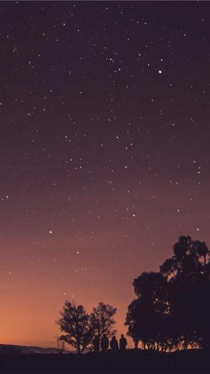 泛目录真的截图2