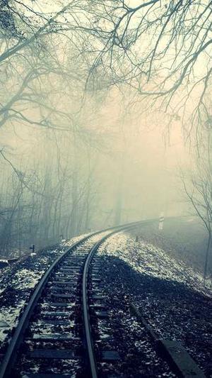 采菊蜘蛛池免费版截图3