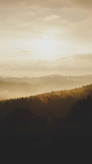 济南网站建设截图2