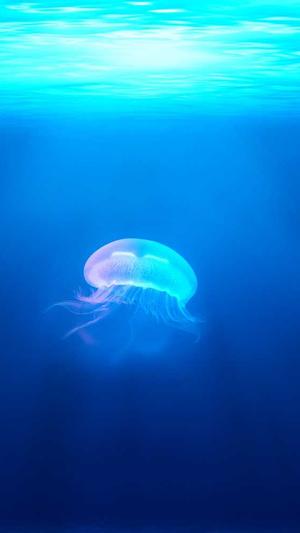 搜狗蜘蛛池出租202截图4