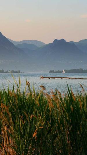 蜘蛛池搭建图片大全截图3