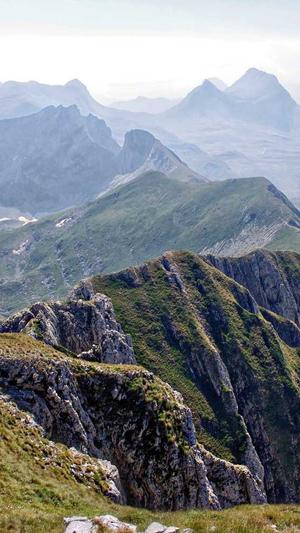 小旋风蜘蛛池程序截图4