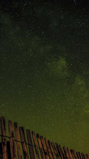 seo优化查询工具截图3