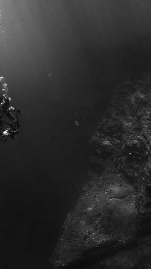 好用的网站seo优化工具截图2