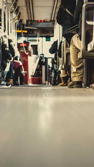 蜘蛛池在线截图4