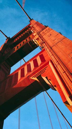 seo蜘蛛池关键词劫持截图3