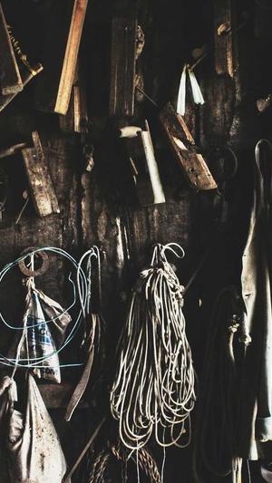 如何提高泛目录排名截图3