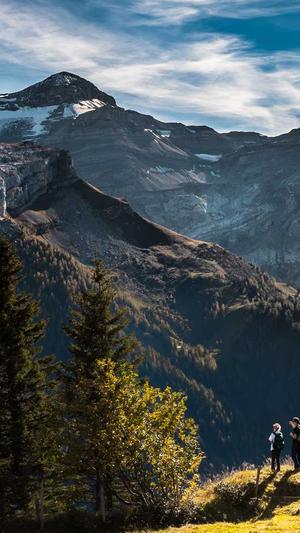 泛目录站群排名截图1