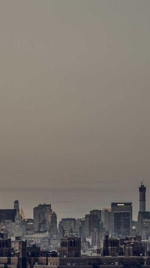 新站做泛目录截图1