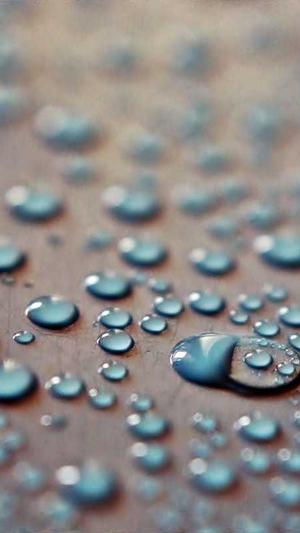 蜘蛛池怎么做好吃截图2