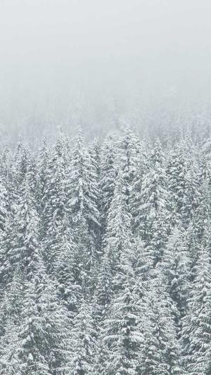 天天seo伪原创工具截图4