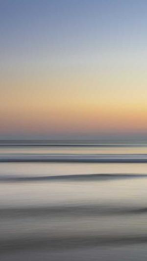 网站建设协议截图3