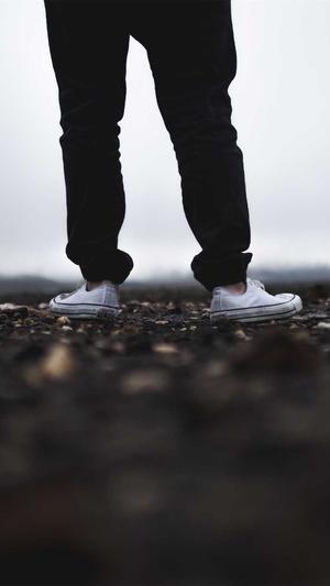 seo工具包括截图4