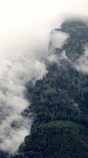 周口网站建设截图4