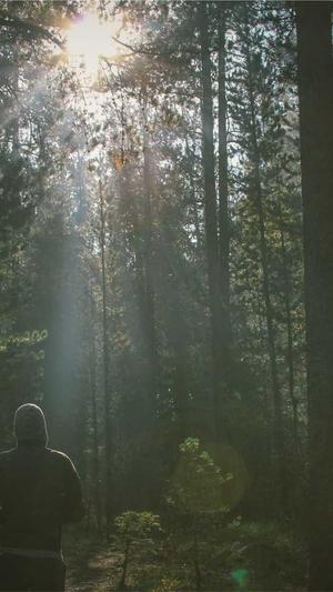 seo工具哪个好用截图5