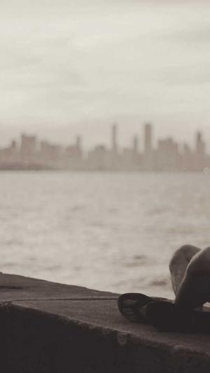 优化seo工具截图2