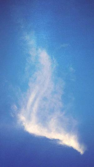 湖州网站建设截图2