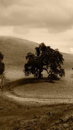 贵阳蜘蛛池外推软件截图3